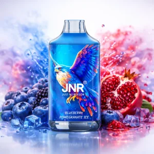 JNR Falcon 16K – Blueberry Pomegranate Ice